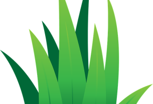 lawn-care-640x480-21858384.png