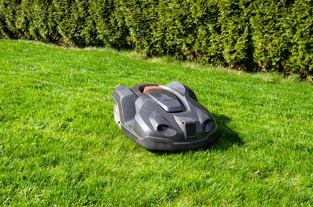 lawn-care-640x480-29028347.jpeg