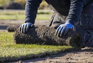 lawn-care-640x480-5322979.jpeg