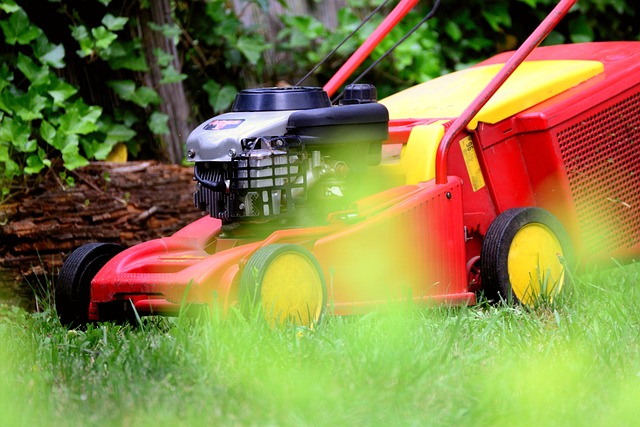 lawn-care-640x480-53601918.jpeg