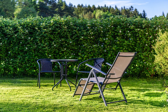 lawn-care-640x480-69397743.jpeg