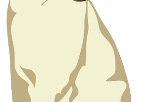 pet-sitting-640x480-81540324.png