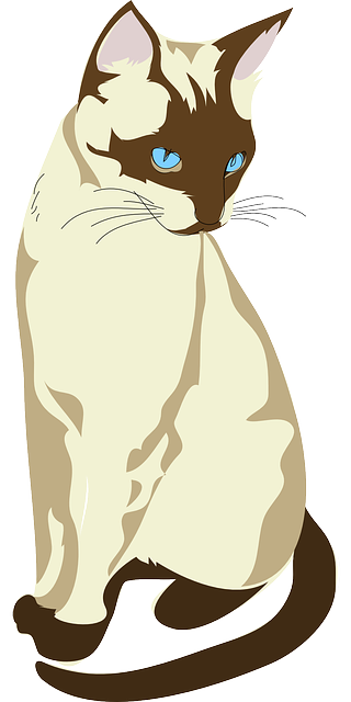 pet-sitting-640x480-81540324.png