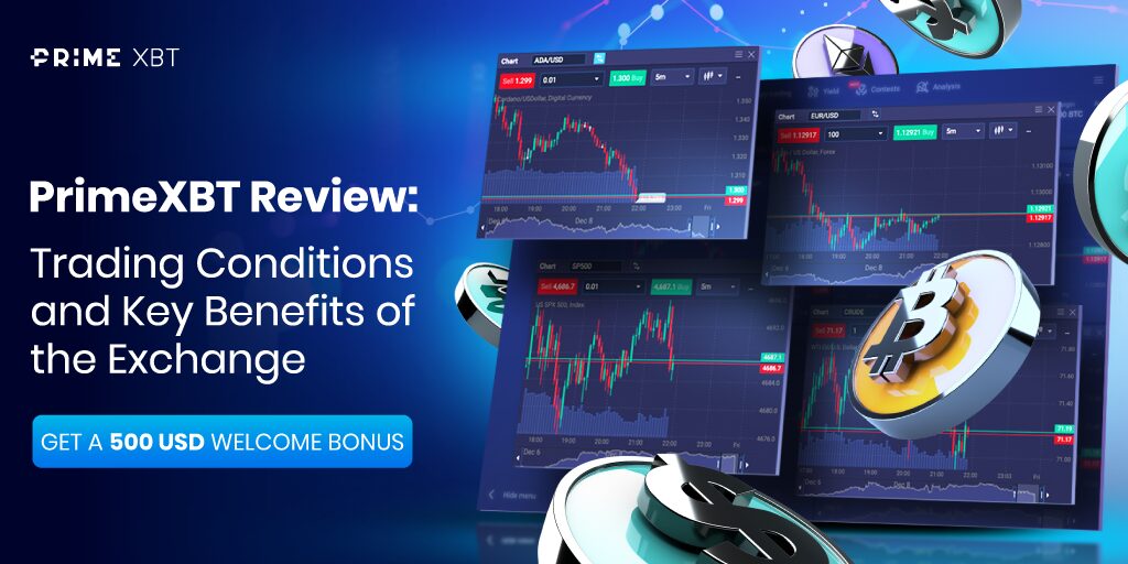 Understanding PrimeXBT Forex Trading Strategies