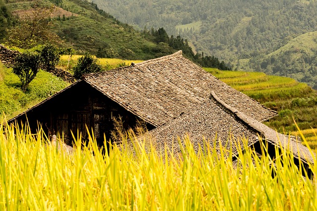 Chinese  Houses