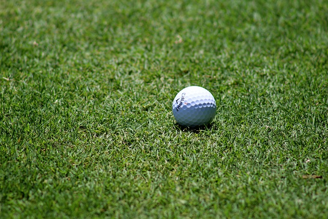 Lawn Care