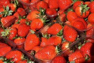 local-food-640x480-28425193.jpeg