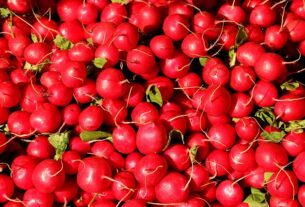local-food-640x480-3266529.jpeg