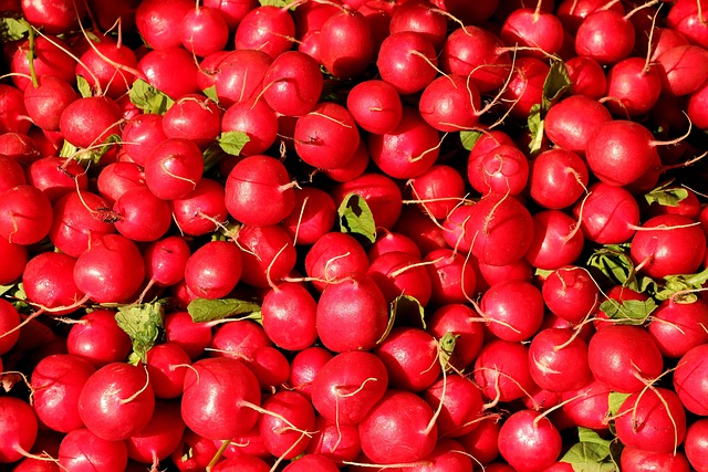 local-food-640x480-3266529.jpeg