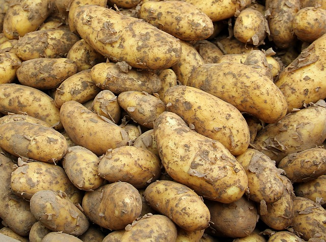 Local Food