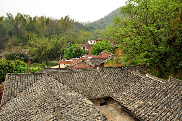 Chinese  Houses