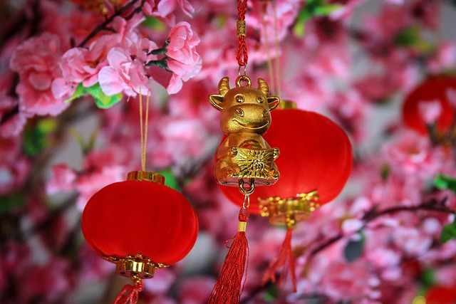 Chinese  Houses